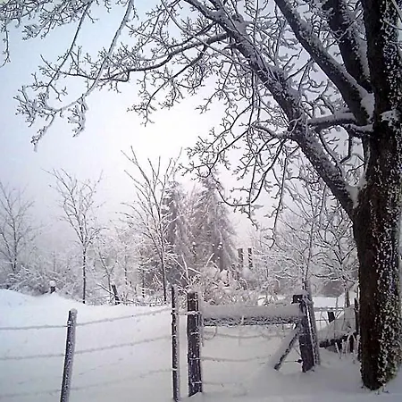 Gemutliche In Der Nahe Des Skigebiets Ξενοδοχείο Schmallenberg