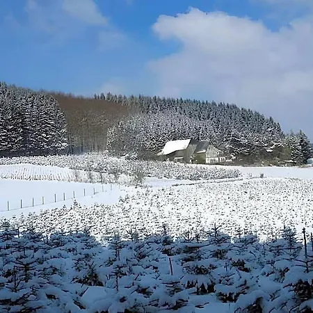 Gemutliche In Der Nahe Des Skigebiets 3*