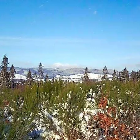 Gemutliche In Der Nahe Des Skigebiets Ξενοδοχείο Schmallenberg